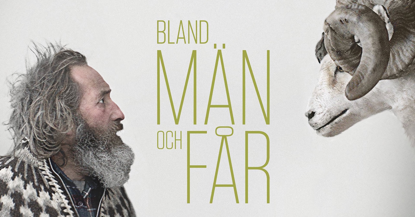 Bland män och får på SVT Play
