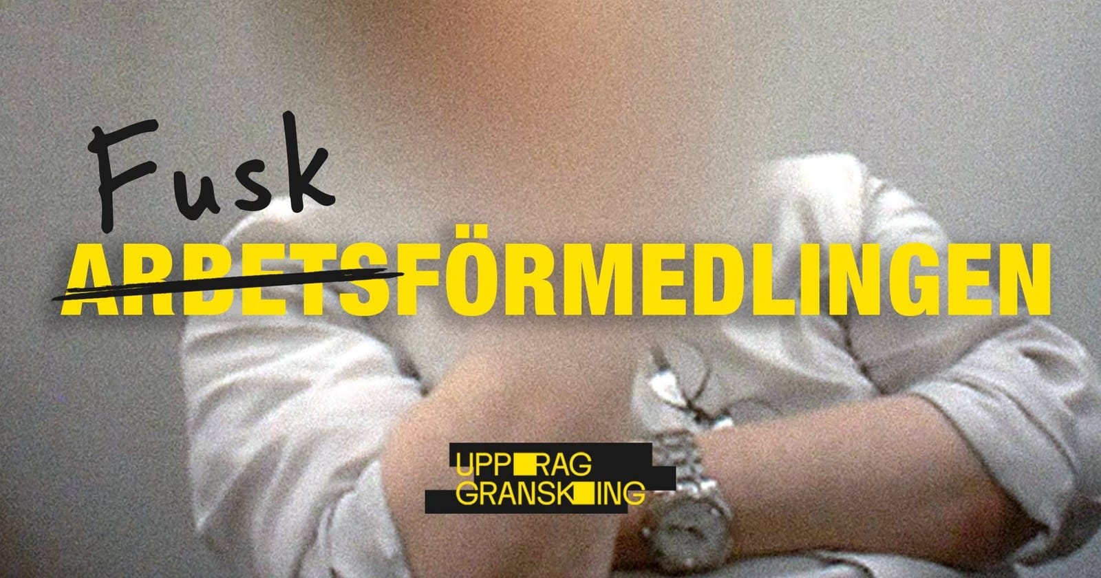 Uppdrag granskning: Fuskförmedlingen på SVT Play