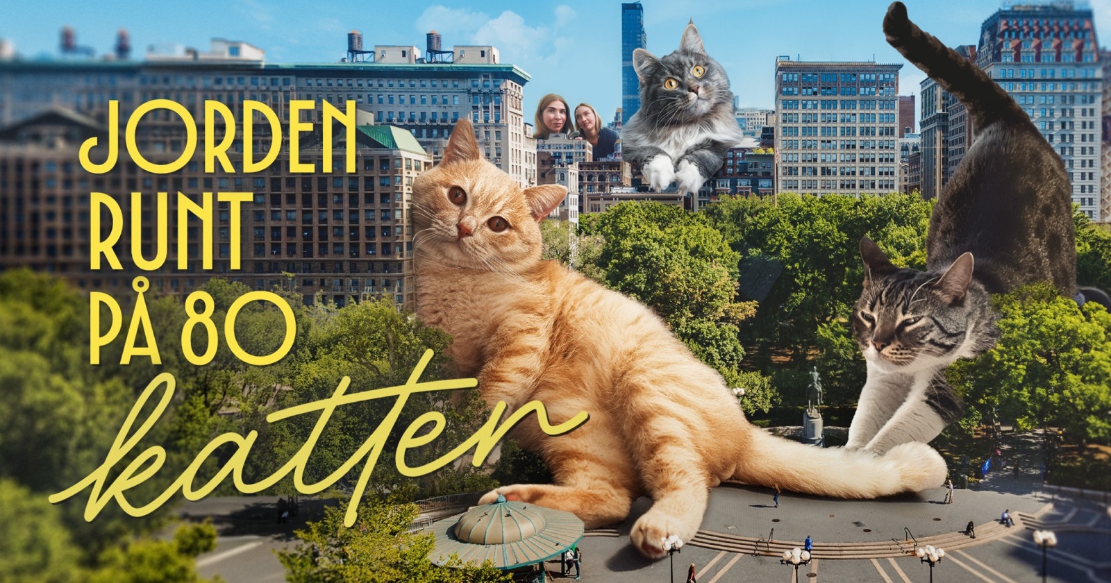 Jorden runt på 80 katter på SVT Play
