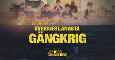 Uppdrag granskning: Sveriges längsta gängkrig