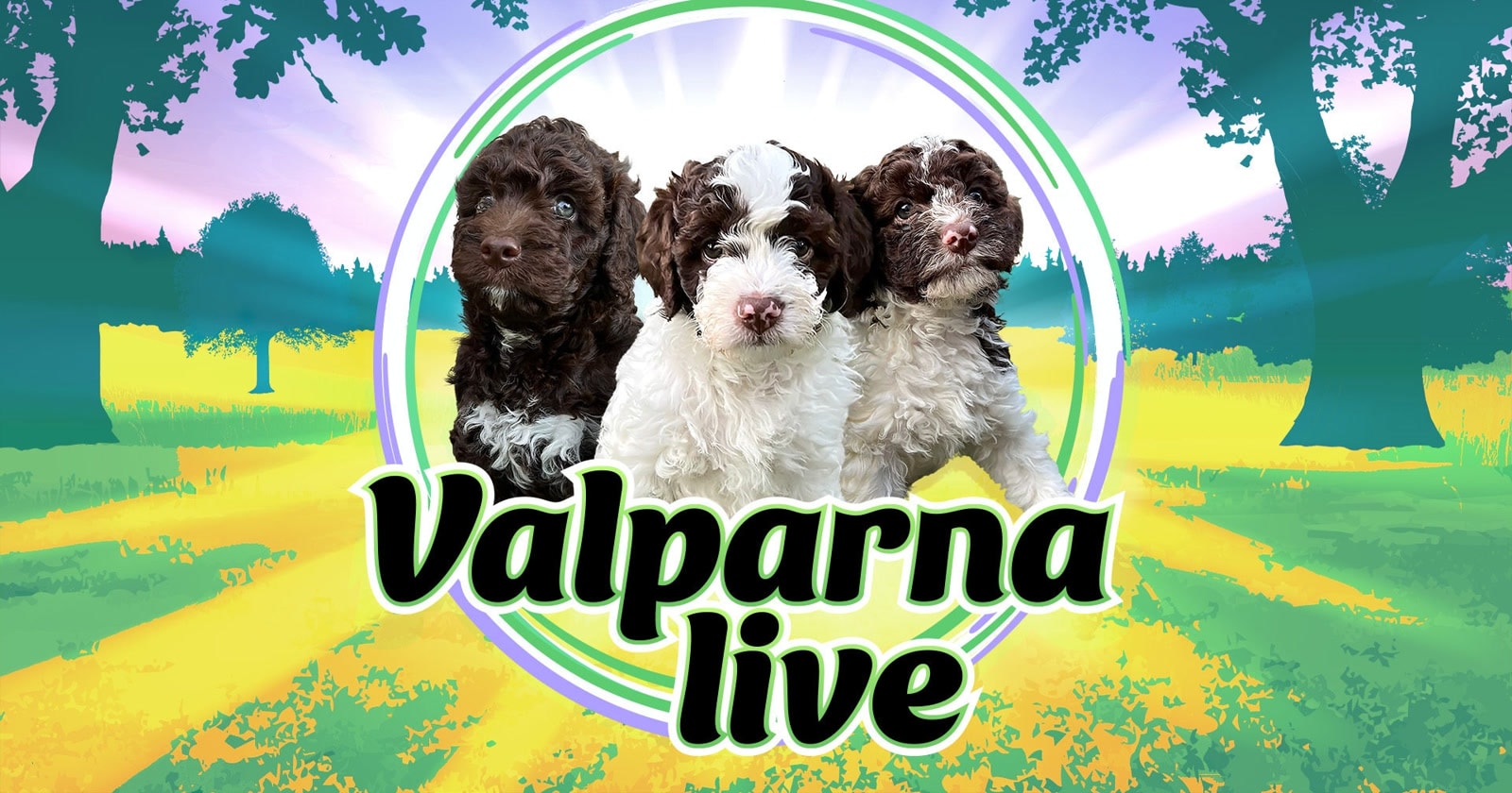 Valplive på SVT Play
